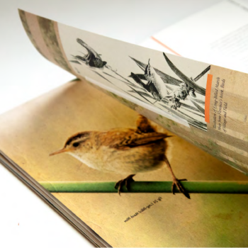 Book with Drawing of a Bird