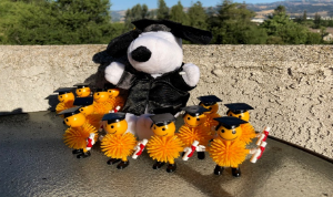 Snoopy Grad